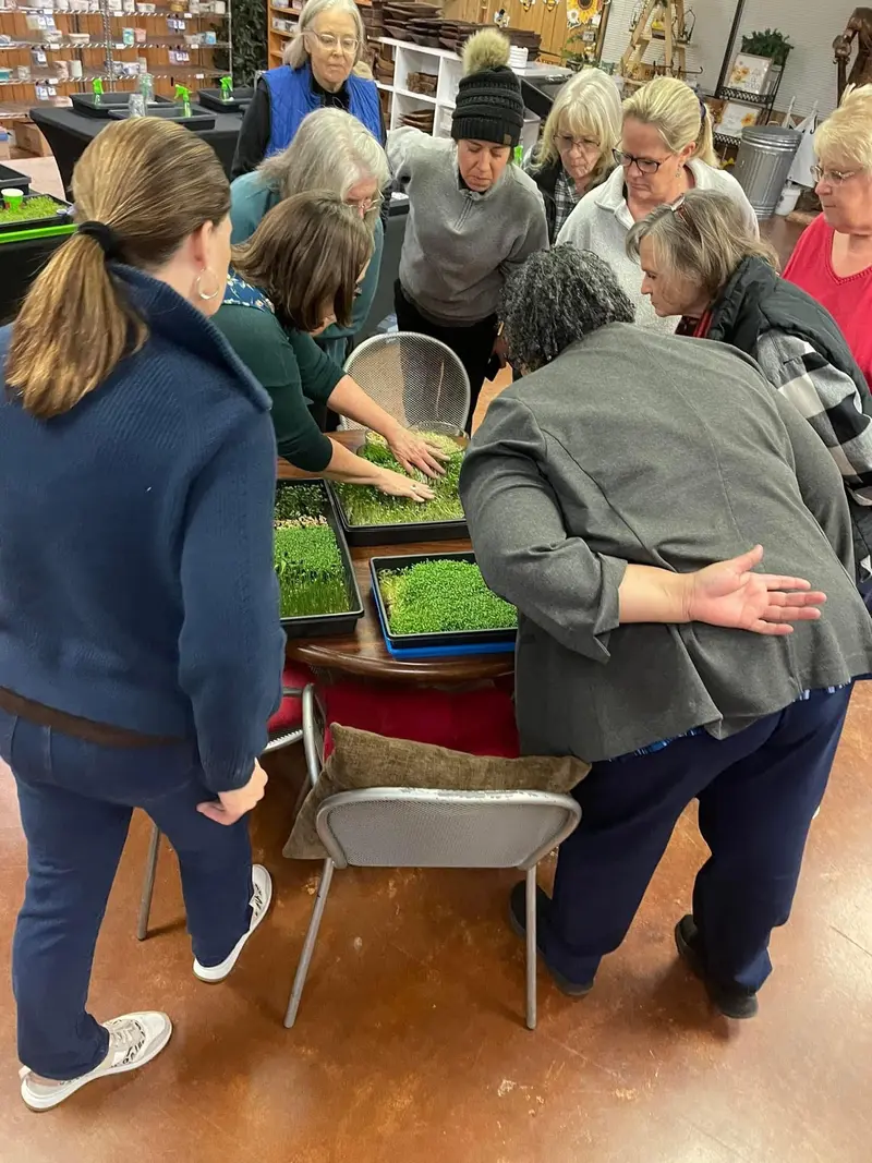 Students gathered around trays of microgreens during a hands-on class.